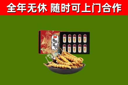 宏伟区回收冬虫夏草价格