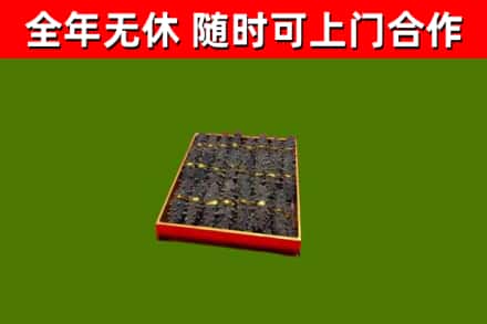 宏伟区回收海参